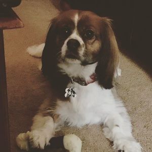 Meet your Posher, Denise